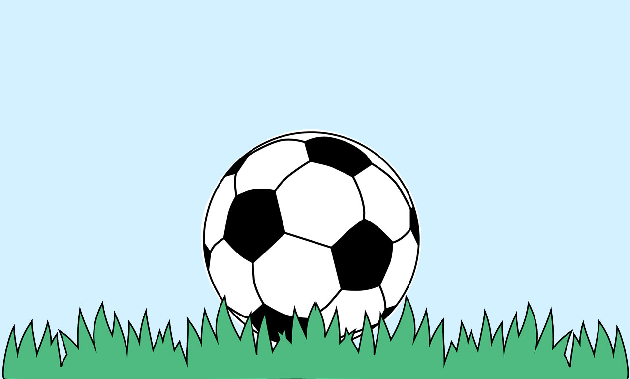Un ballon de football posé sur l'herbe.